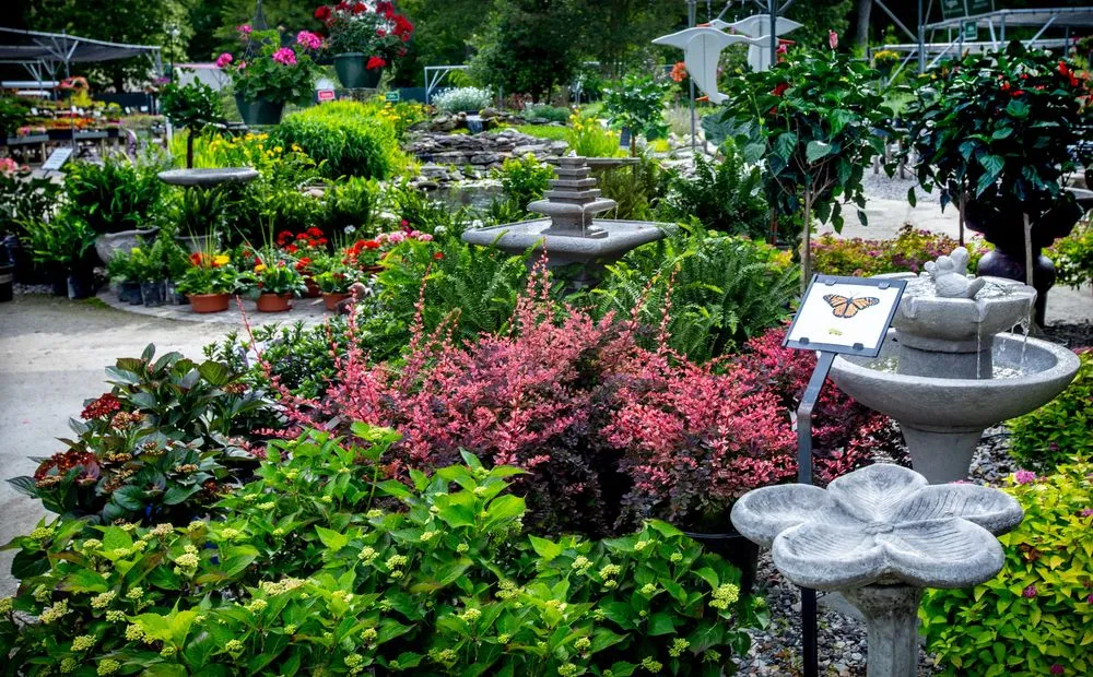 Top-rated outdoor landscaping for outdoor upgrades across Yorktown, VA - Ken Matthews Garden Center