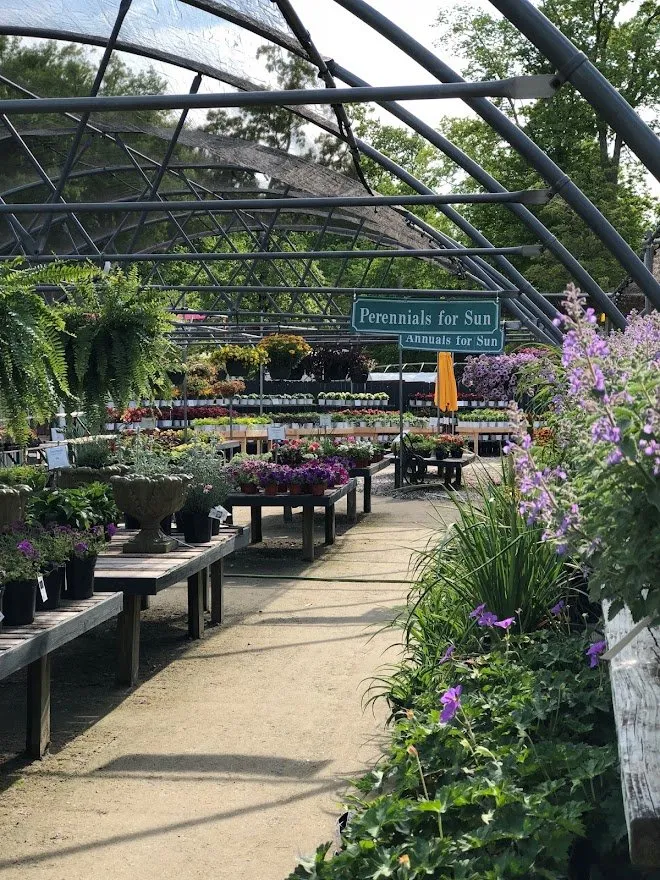 Expert residential landscaping for homes across Yorktown, VA - Ken Matthews Garden Center