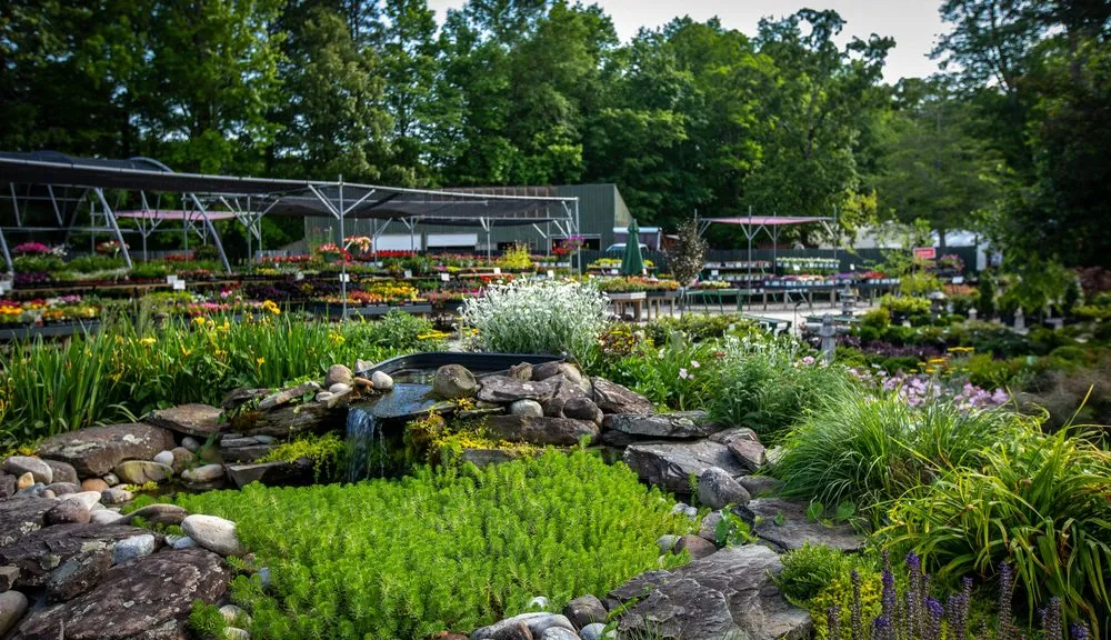 Affordable outdoor landscaping in Yorktown, VA by Ken Matthews Garden Center