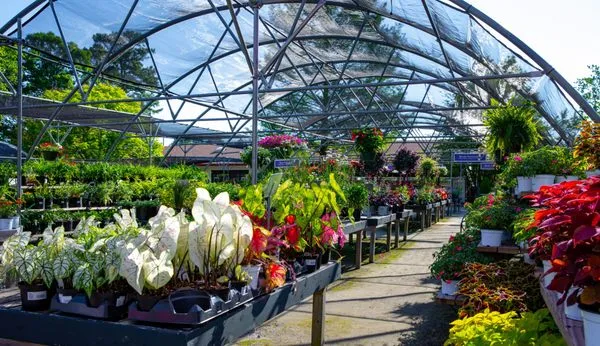 Ken Matthews Garden Center Logo