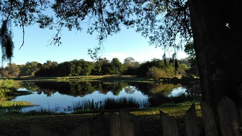 Custom lawn care service for beautiful yards across Sarasota, FL - Ken Schrock Lawn Services