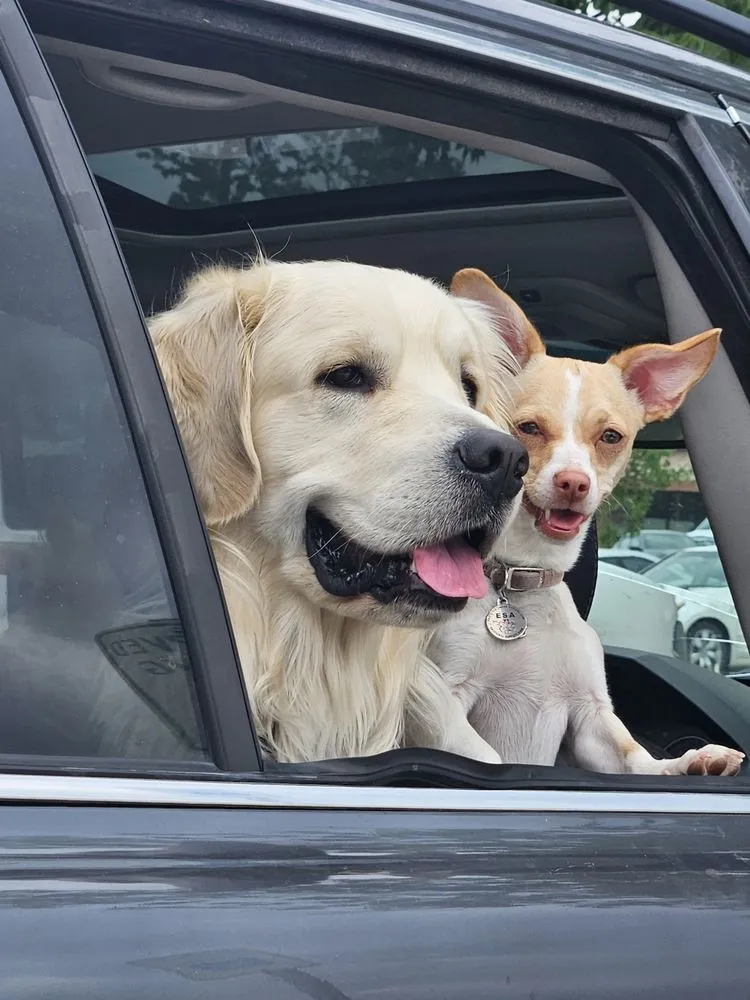 Affordable landscape design for residential properties across Fort Collins, CO - Kenai Lawncare