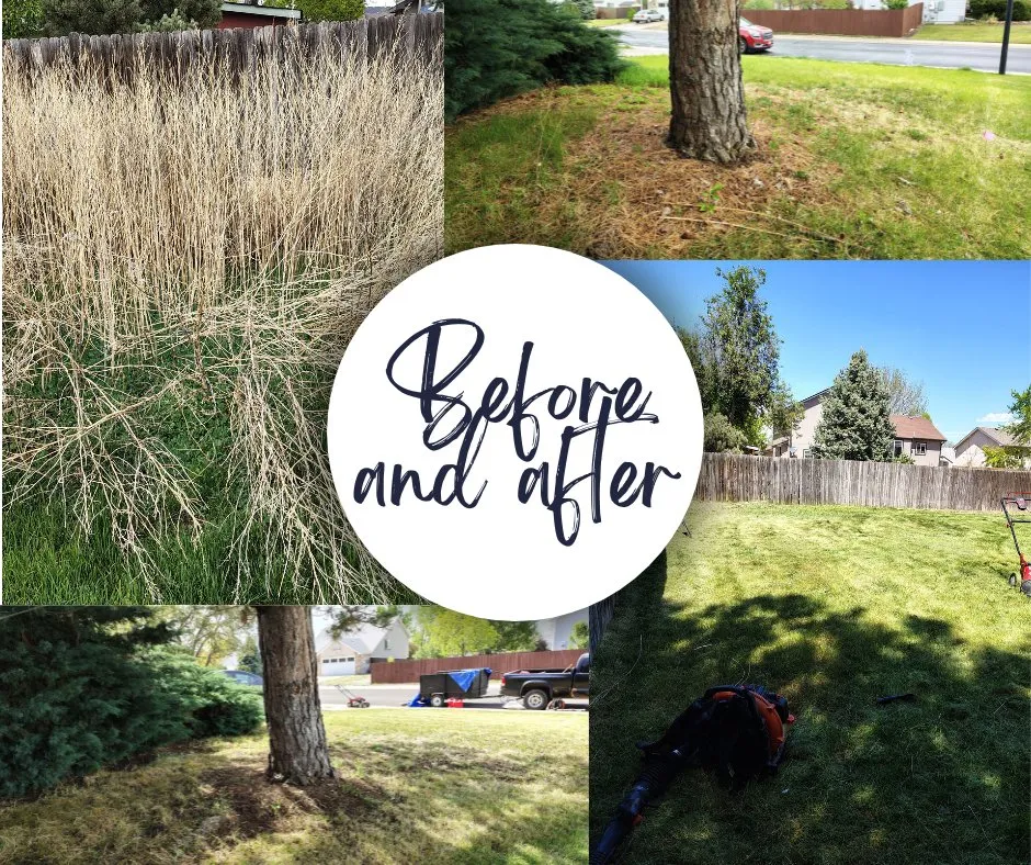 Local lawn care service in Fort Collins, CO - Kenai Lawncare
