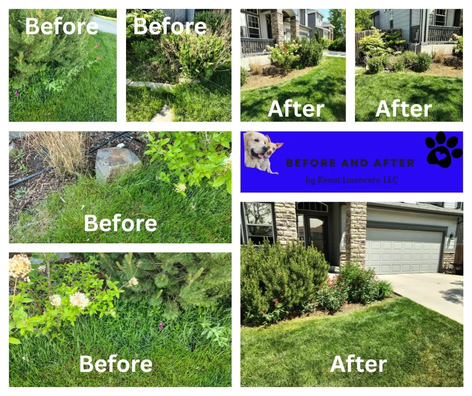 Top-rated outdoor landscaping experts serving Fort Collins, CO - Kenai Lawncare