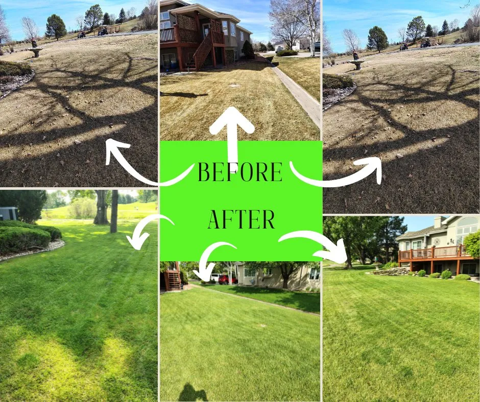 Custom lawn care service experts serving Fort Collins, CO - Kenai Lawncare
