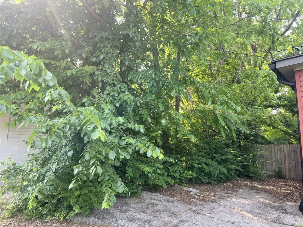 Trusted garden landscaping for residential properties across Perryville, MO - KenBows Lawn Care & Tree Service