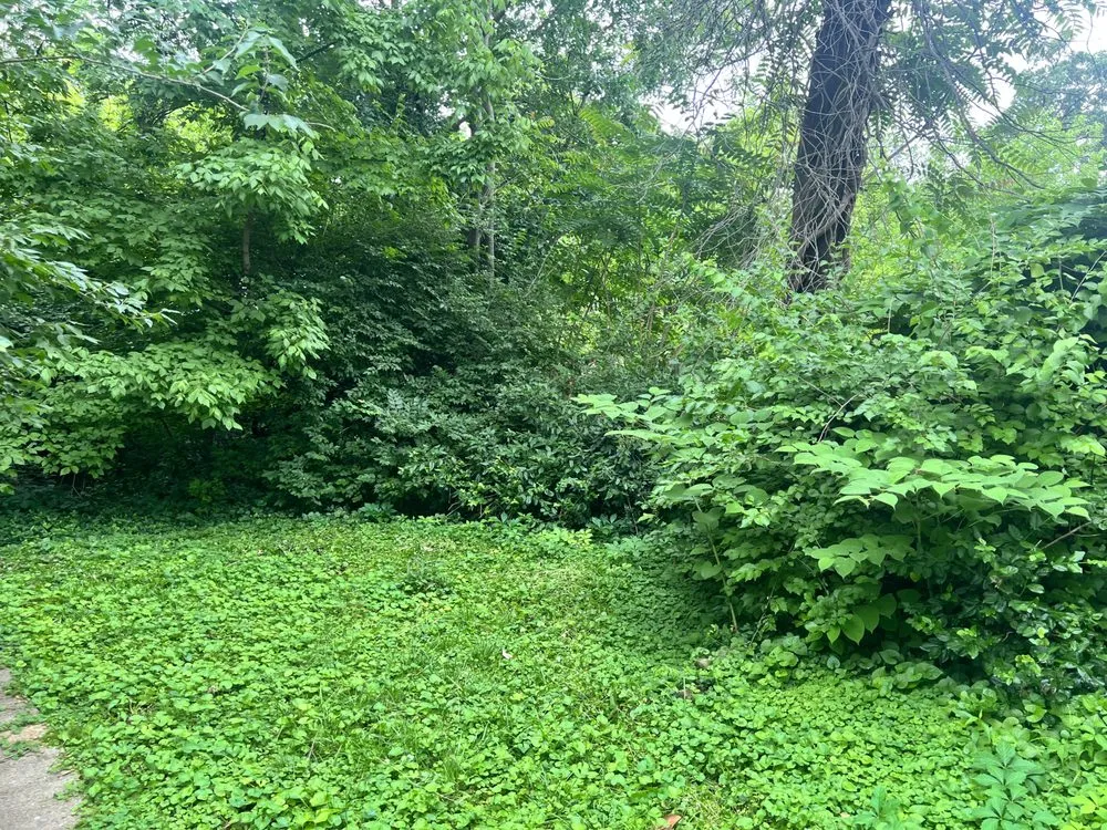 Local landscape installation in Perryville, MO - KenBows Lawn Care & Tree Service