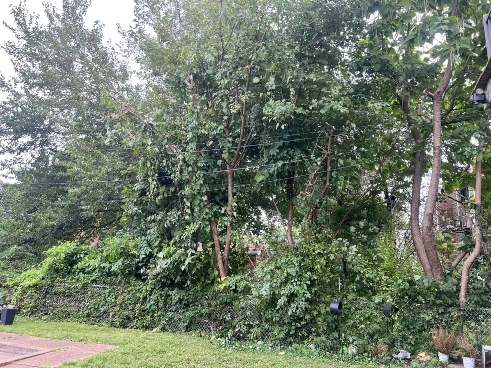 Top-rated landscape installation with custom design in Perryville, MO by KenBows Lawn Care & Tree Service