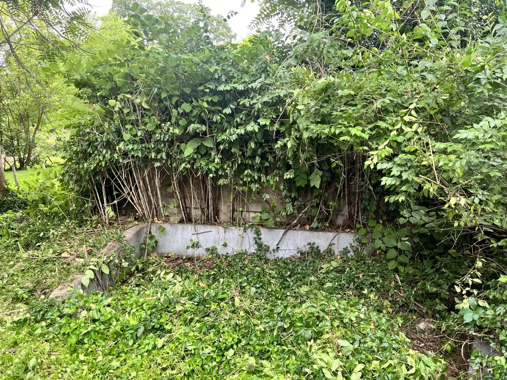 Top-rated lawn mowing service near you across Perryville, MO - KenBows Lawn Care & Tree Service