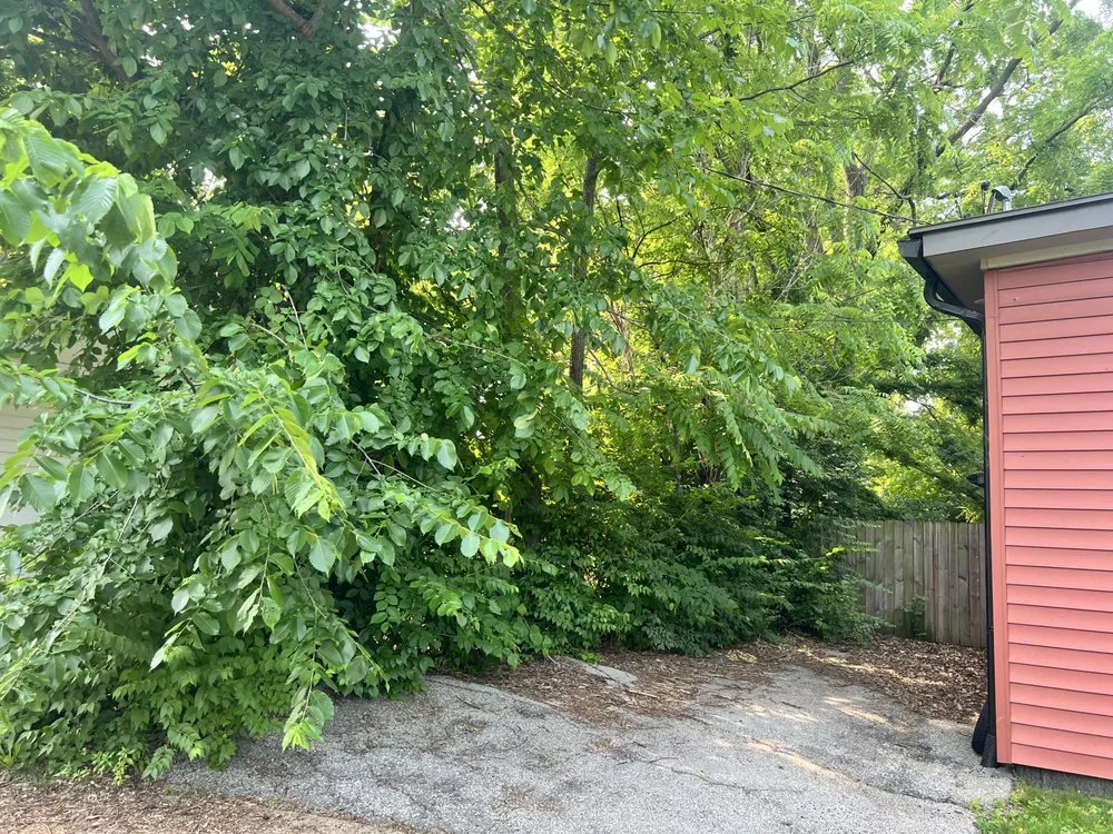 Local landscaping services in Perryville, MO by KenBows Lawn Care & Tree Service