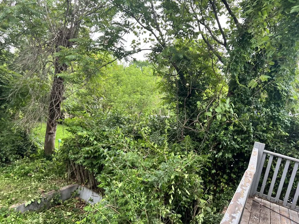 Reliable landscaping services experts serving Perryville, MO - KenBows Lawn Care & Tree Service