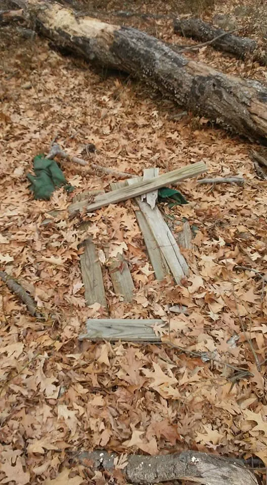 Expert landscape design near you in Lexington Park, MD by Kendall Cleaning