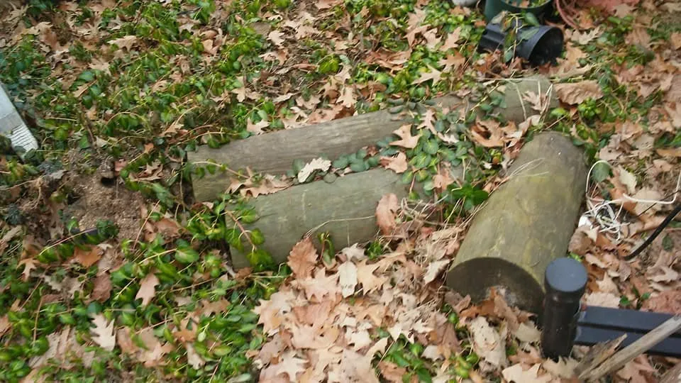 Custom lawn mowing service in Lexington Park, MD by Kendall Cleaning