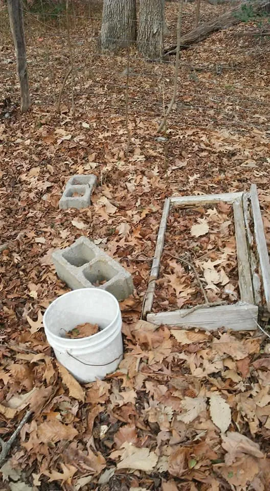 Affordable landscape installation experts serving Lexington Park, MD - Kendall Cleaning