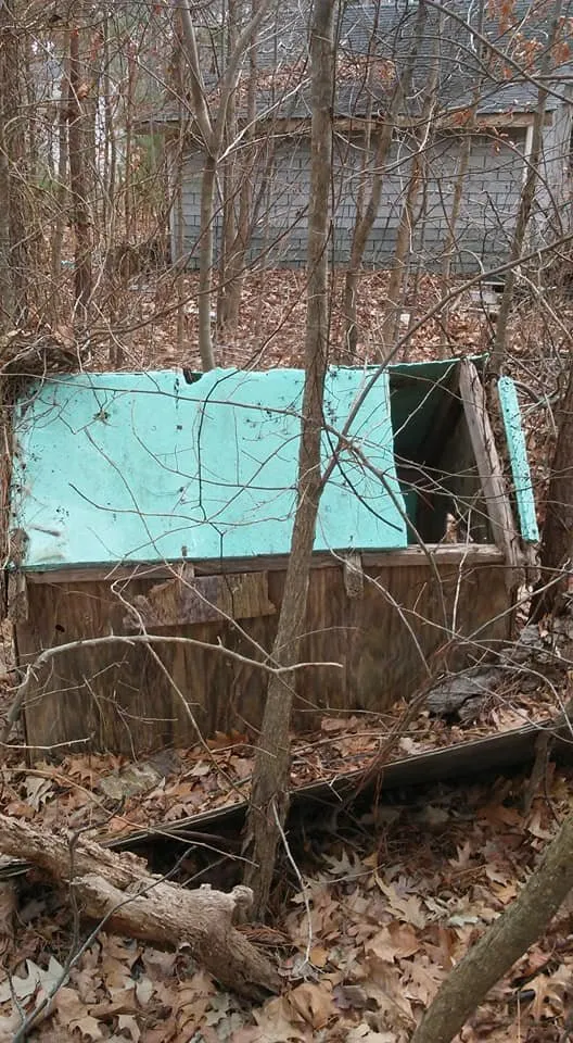 Trusted lawn mowing service with custom design across Lexington Park, MD - Kendall Cleaning