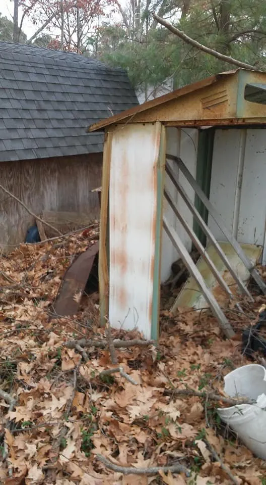 Local landscape design for year-round maintenance across Lexington Park, MD - Kendall Cleaning