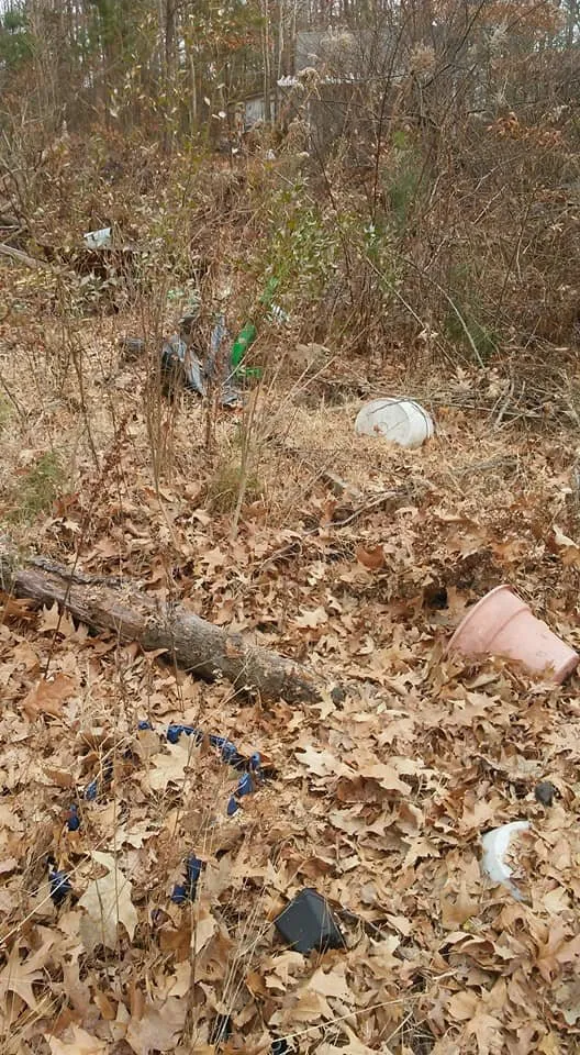 Local yard maintenance experts serving Lexington Park, MD - Kendall Cleaning