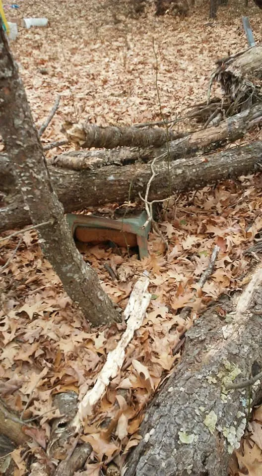 Reliable outdoor landscaping for beautiful yards across Lexington Park, MD - Kendall Cleaning