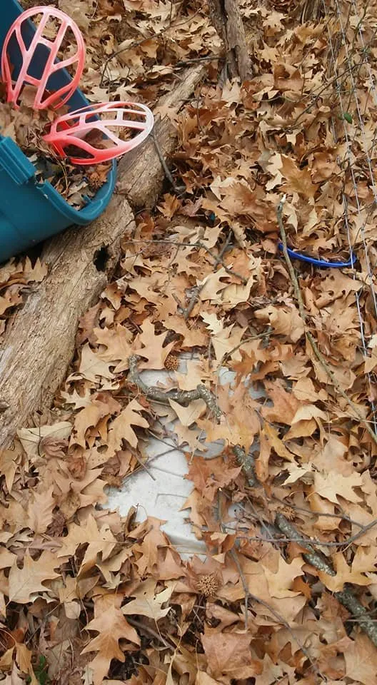 Affordable yard maintenance experts serving Lexington Park, MD - Kendall Cleaning