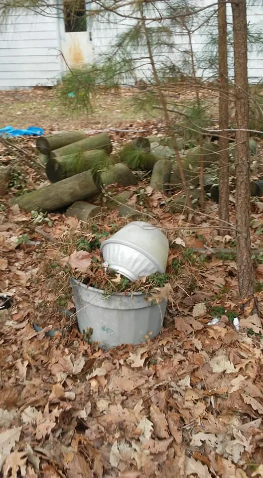 Custom landscape design in Lexington Park, MD - Kendall Cleaning