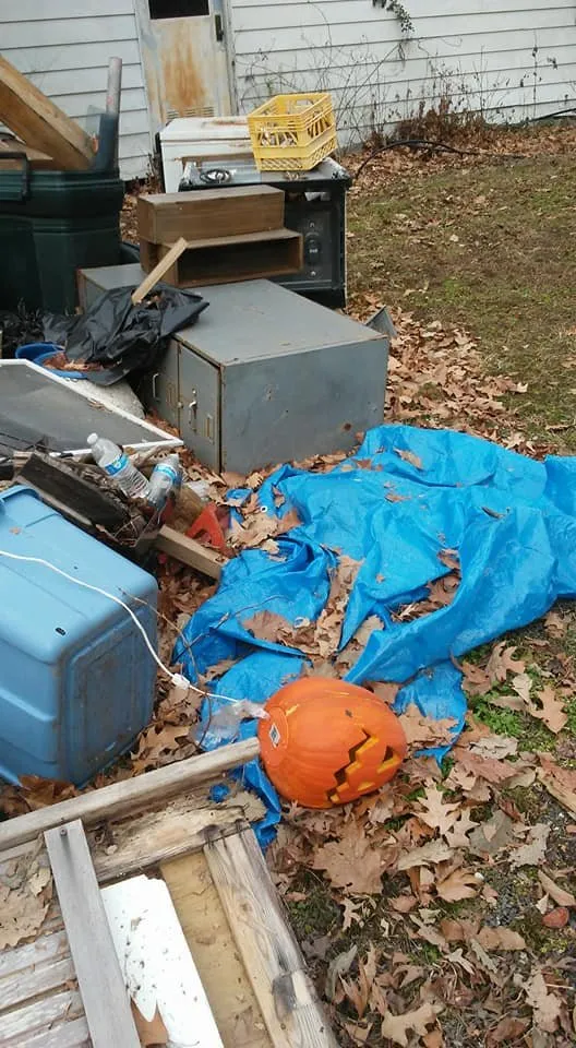 Custom residential landscaping experts serving Lexington Park, MD - Kendall Cleaning