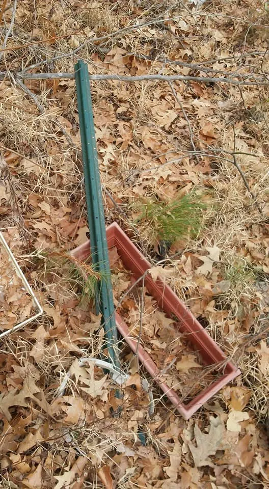 Professional lawn care service near you in Lexington Park, MD by Kendall Cleaning