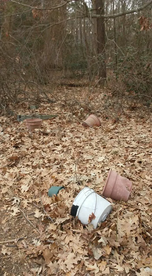 Trusted residential landscaping in Lexington Park, MD by Kendall Cleaning