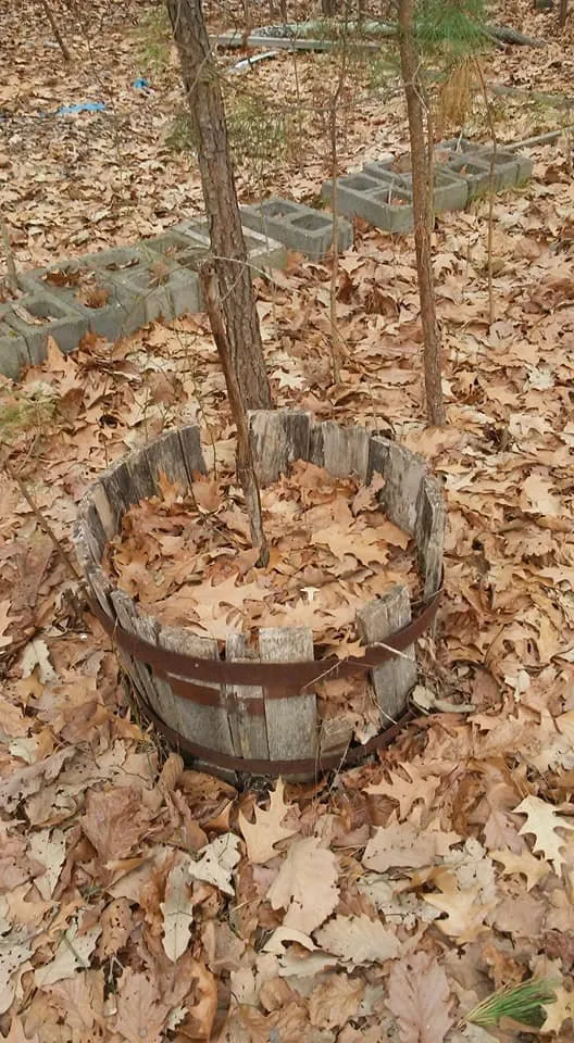 Expert landscape design in Lexington Park, MD by Kendall Cleaning