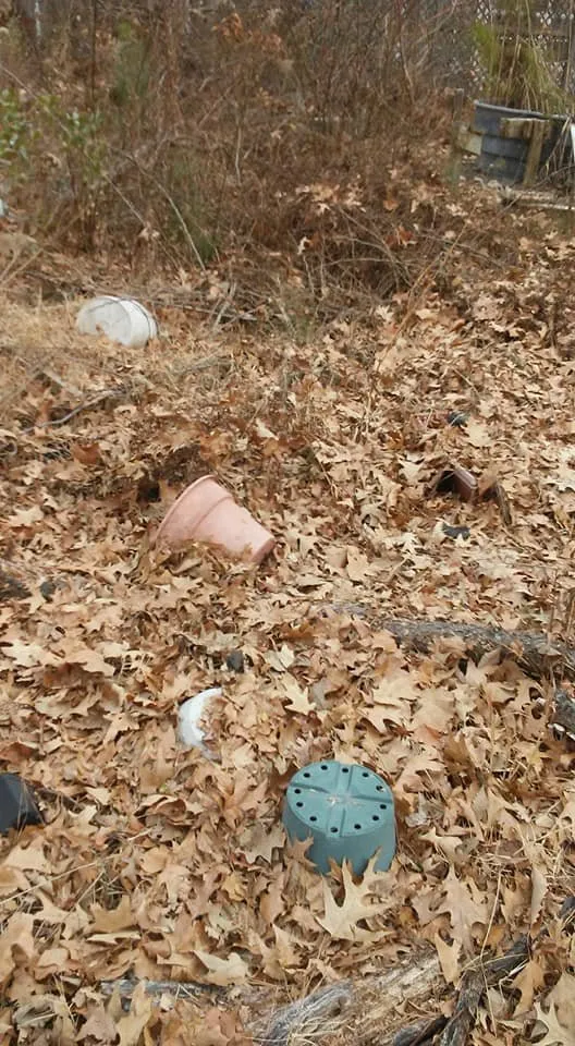 Professional landscape installation experts serving Lexington Park, MD - Kendall Cleaning