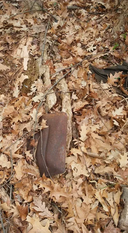 Trusted yard cleanup service in Lexington Park, MD by Kendall Cleaning