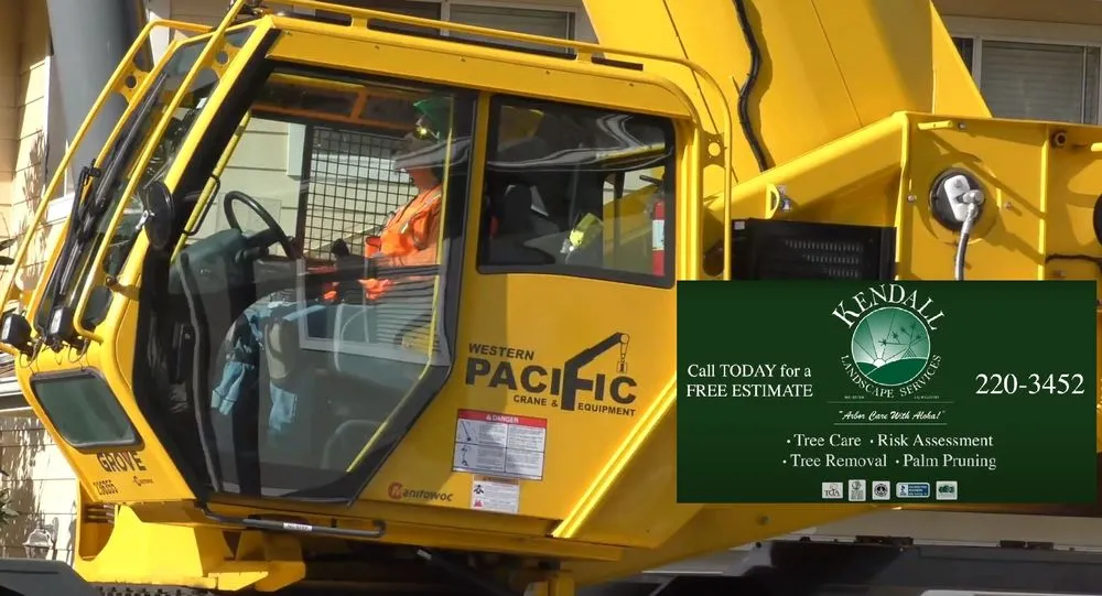 Professional landscape design in Honolulu, HI by Kendall Landscape Services