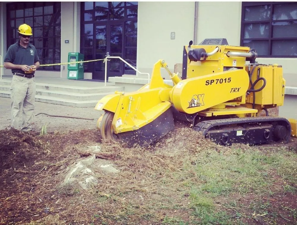 Affordable lawn care service in Honolulu, HI - Kendall Landscape Services