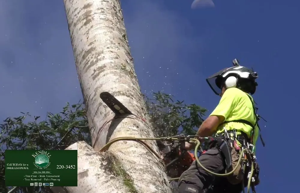 Top-rated landscaping services with custom design across Honolulu, HI - Kendall Landscape Services