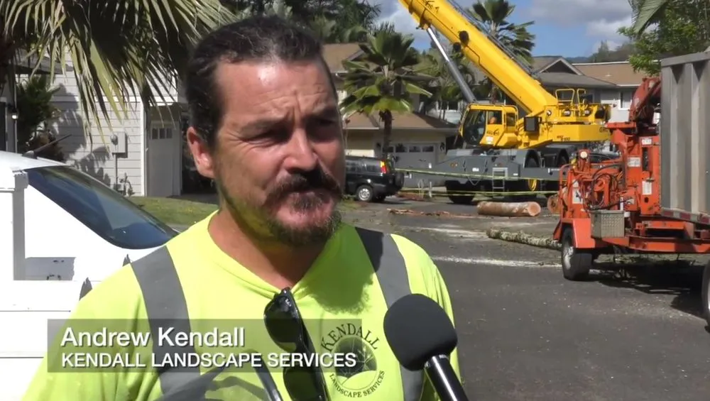 Professional lawn care service in Honolulu, HI by Kendall Landscape Services