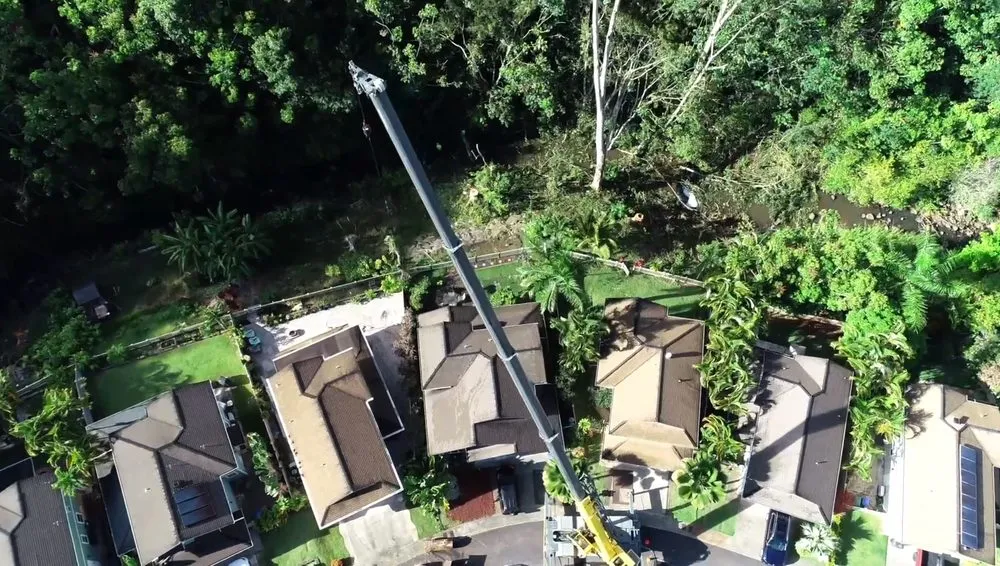 Professional lawn mowing service in Honolulu, HI by Kendall Landscape Services