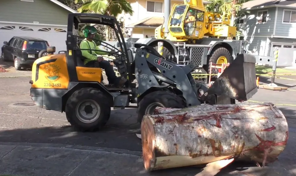 Custom residential landscaping for outdoor upgrades across Honolulu, HI - Kendall Landscape Services