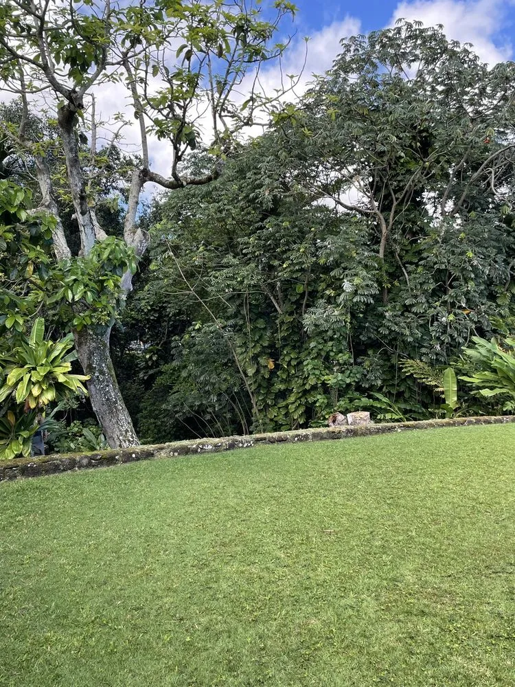 Reliable lawn mowing service experts serving Honolulu, HI - Kendall Landscape Services