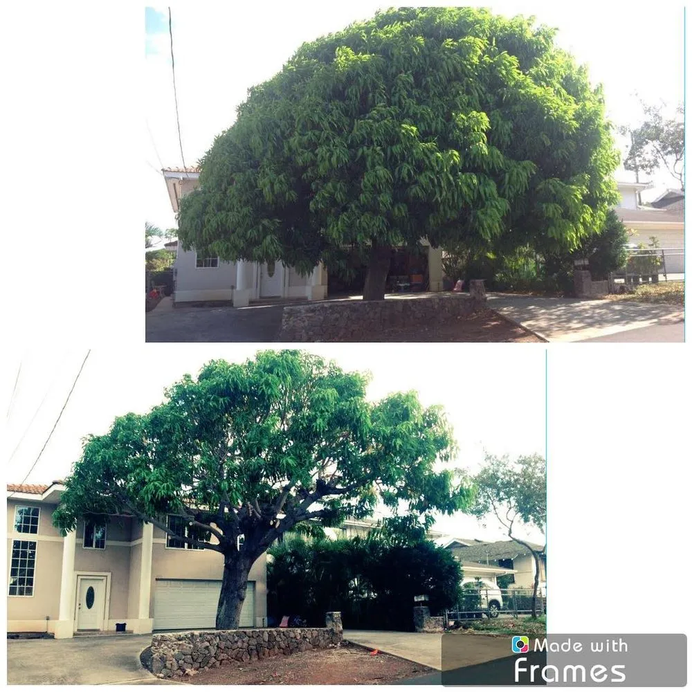 Custom lawn mowing service for outdoor upgrades in Honolulu, HI by Kendall Landscape Services