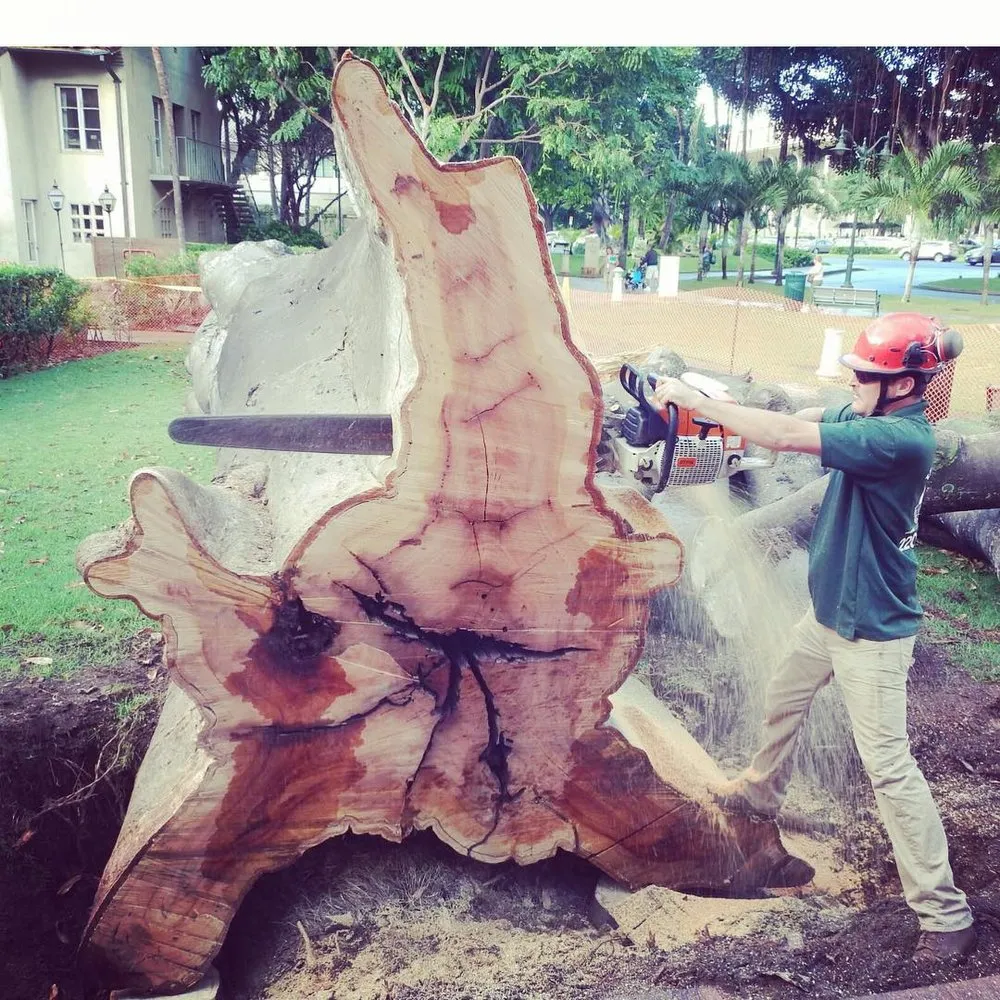 Affordable lawn care service for beautiful yards across Honolulu, HI - Kendall Landscape Services