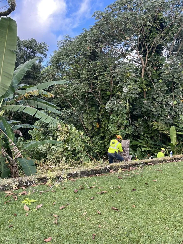 Custom garden landscaping experts serving Honolulu, HI - Kendall Landscape Services