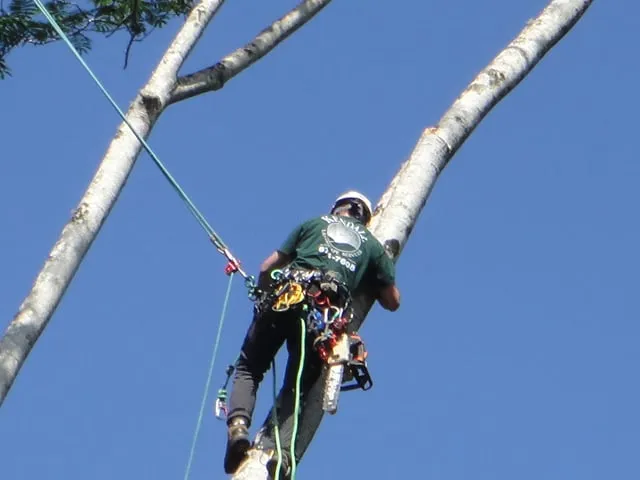 Local garden landscaping experts serving Honolulu, HI - Kendall Landscape Services