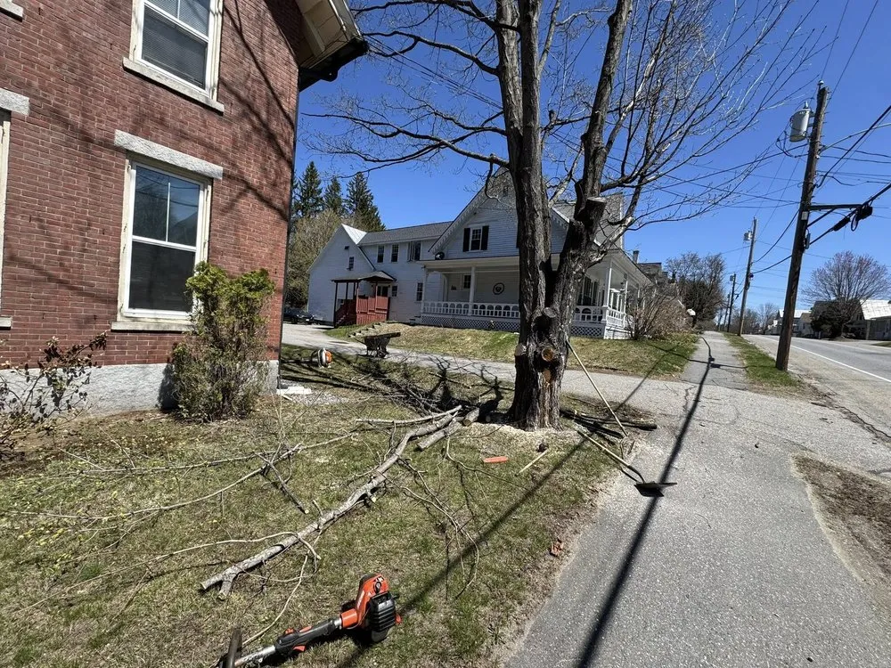 Expert lawn care service for residential properties across Strong, ME - Kendall's Landscape & Lawn Care