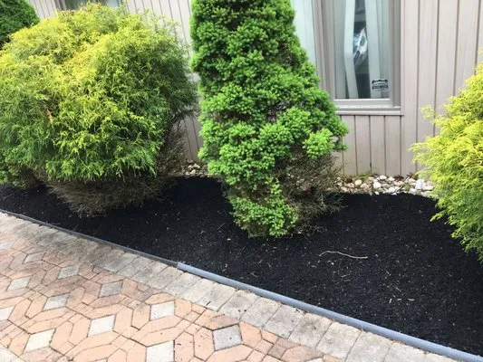 Kenderdine’s Landscaping Logo