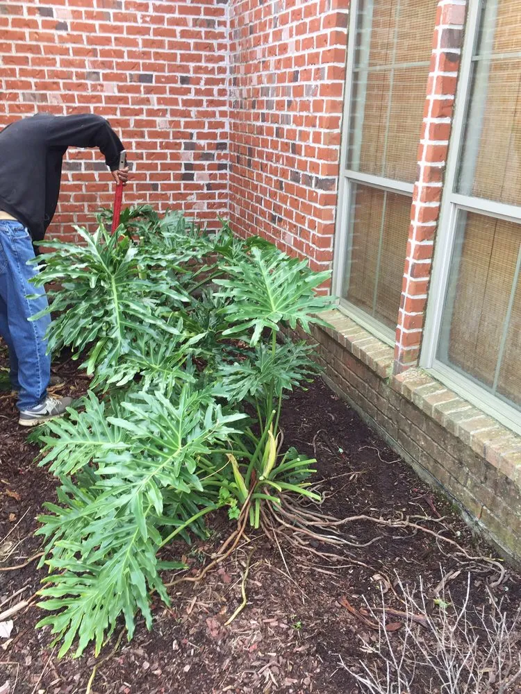 Custom yard maintenance with custom design across Baton Rouge, LA - Kennedy and Smith Lawns