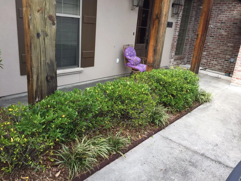 Local landscaping services for year-round maintenance in Baton Rouge, LA by Kennedy and Smith Lawns