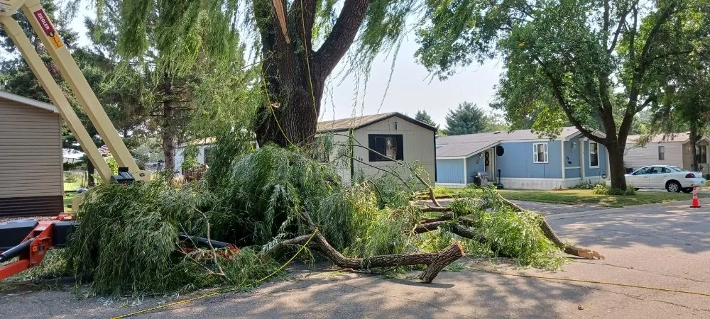 Local yard cleanup service for outdoor upgrades in Hillman, MN by Kennedy Clean-Up Service