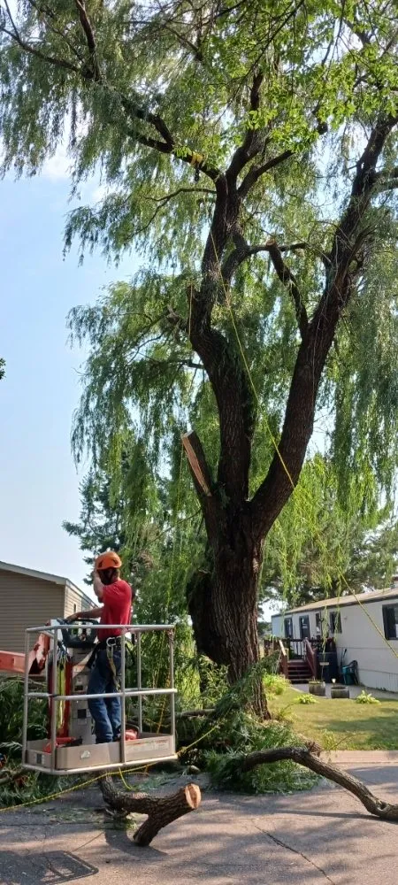 Reliable landscape installation in Hillman, MN - Kennedy Clean-Up Service