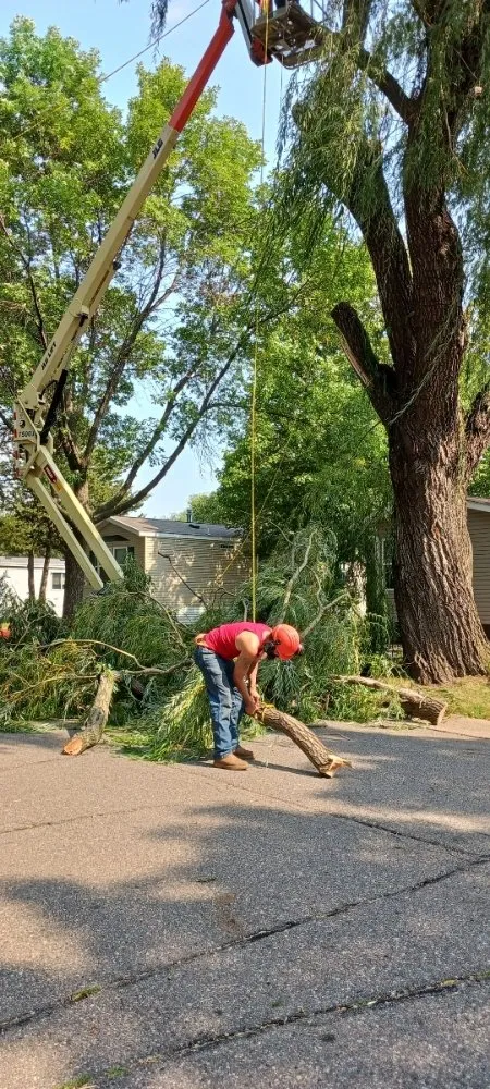 Affordable yard maintenance in Hillman, MN - Kennedy Clean-Up Service