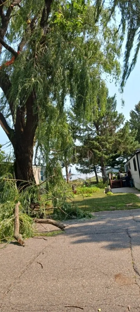 Expert landscape installation for beautiful yards across Hillman, MN - Kennedy Clean-Up Service