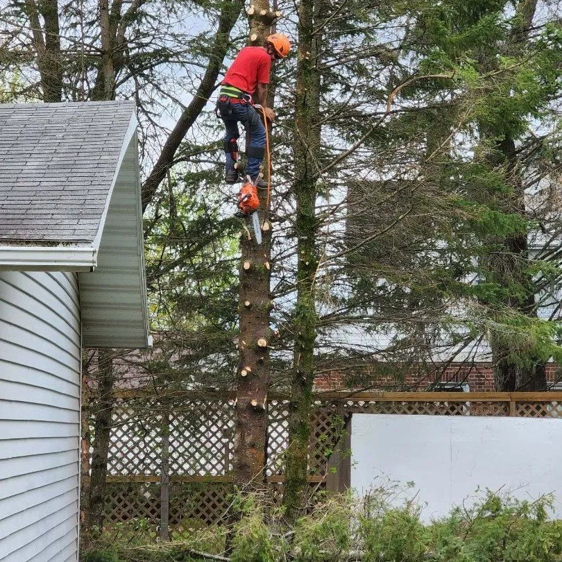 Trusted landscape installation in Hillman, MN - Kennedy Clean-Up Service